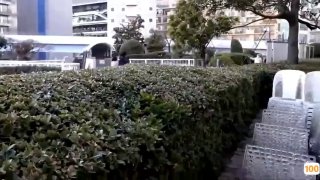 99热久久国产免费视频在线观看,国产精品免费大片一区二区高清